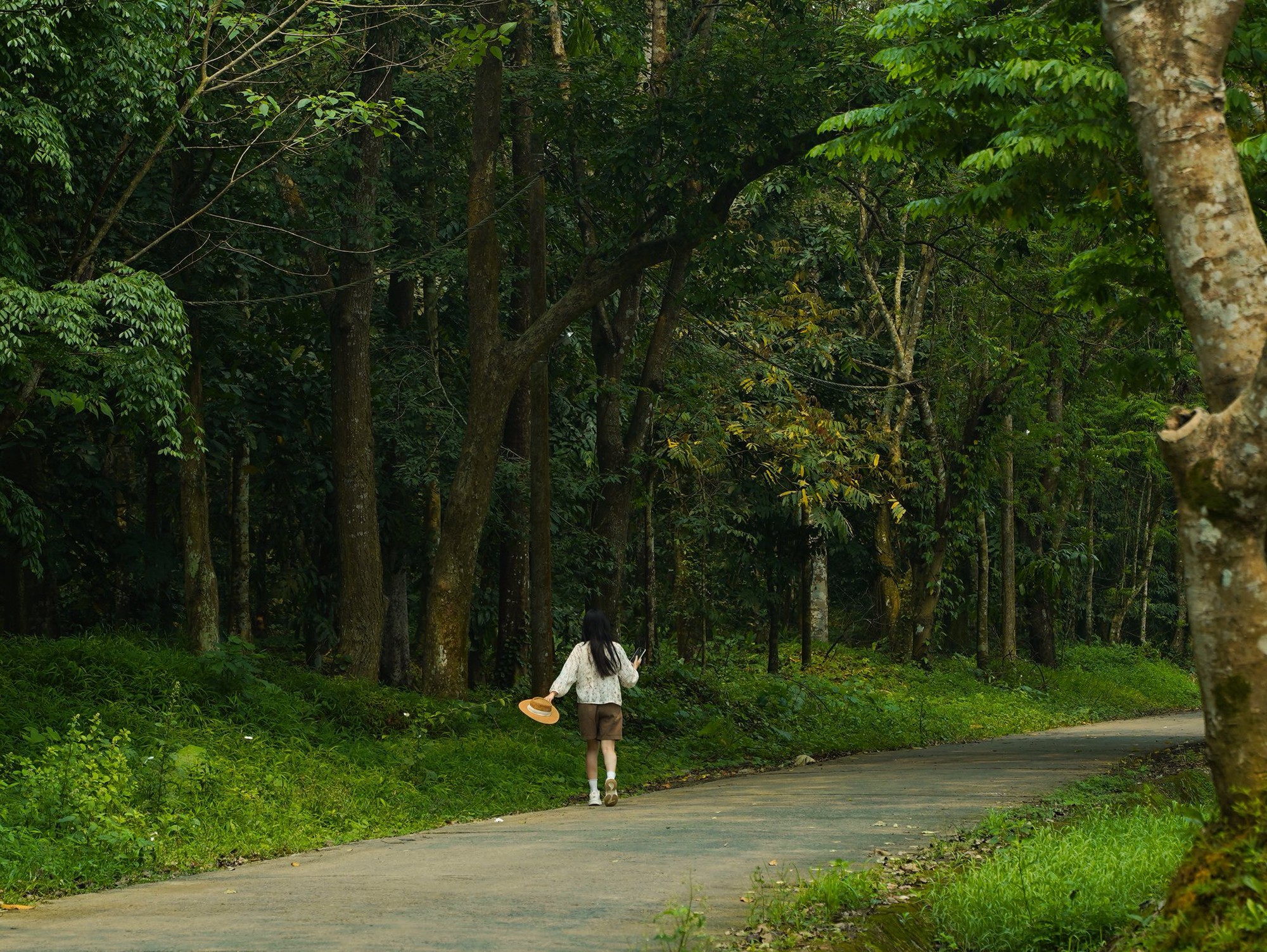 Lạc v&agrave;o "thế giới Ghibli" giữa đời thực: M&ugrave;a bướm C&uacute;c Phương rực rỡ nhất năm đ&atilde; gọi t&ecirc;n, trốn phố về rừng ngay th&ocirc;i!- Ảnh 5.