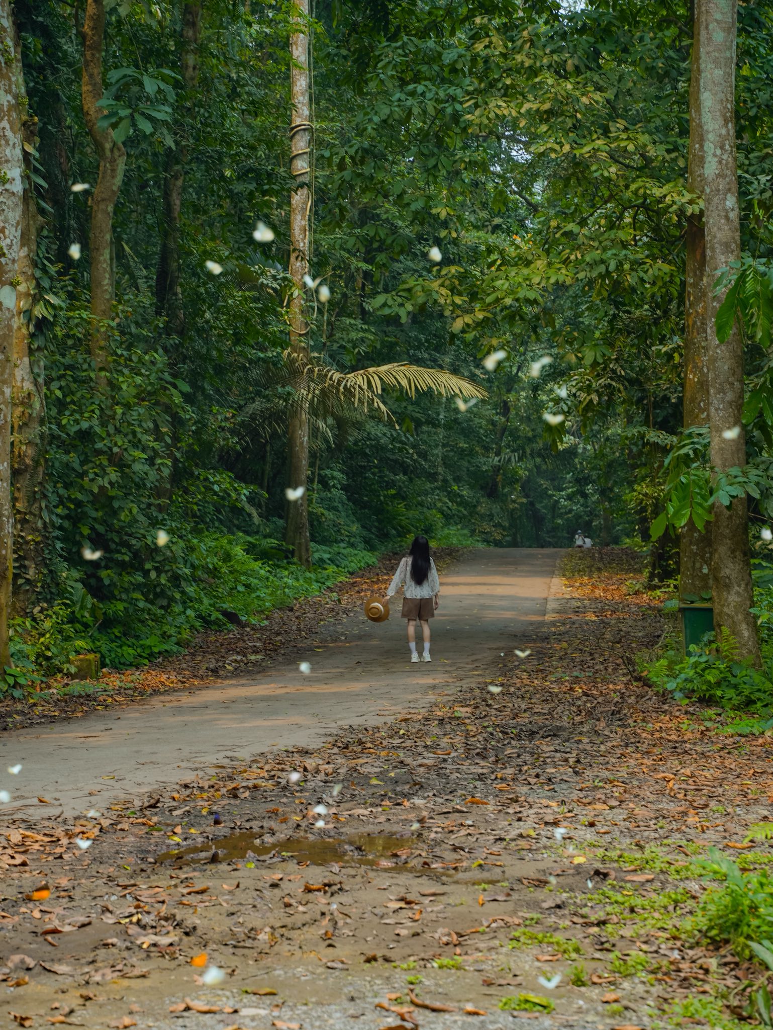 Lạc v&agrave;o "thế giới Ghibli" giữa đời thực: M&ugrave;a bướm C&uacute;c Phương rực rỡ nhất năm đ&atilde; gọi t&ecirc;n, trốn phố về rừng ngay th&ocirc;i!- Ảnh 2.