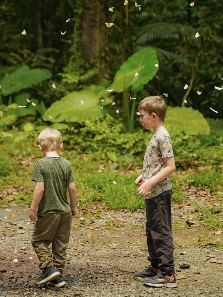 Lạc v&agrave;o "thế giới Ghibli" giữa đời thực: M&ugrave;a bướm C&uacute;c Phương rực rỡ nhất năm đ&atilde; gọi t&ecirc;n, trốn phố về rừng ngay th&ocirc;i!- Ảnh 3.