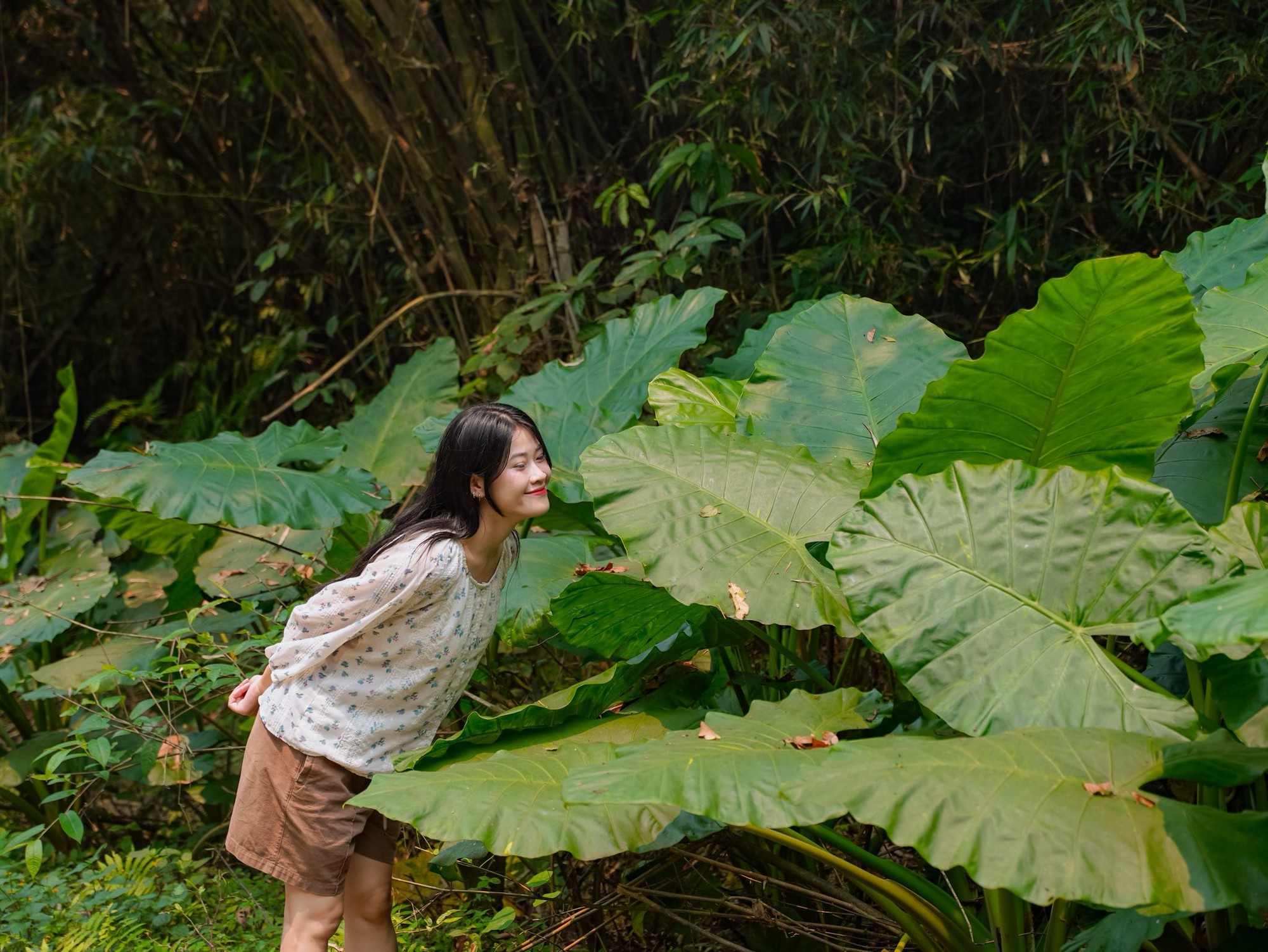 Lạc v&agrave;o "thế giới Ghibli" giữa đời thực: M&ugrave;a bướm C&uacute;c Phương rực rỡ nhất năm đ&atilde; gọi t&ecirc;n, trốn phố về rừng ngay th&ocirc;i!- Ảnh 12.