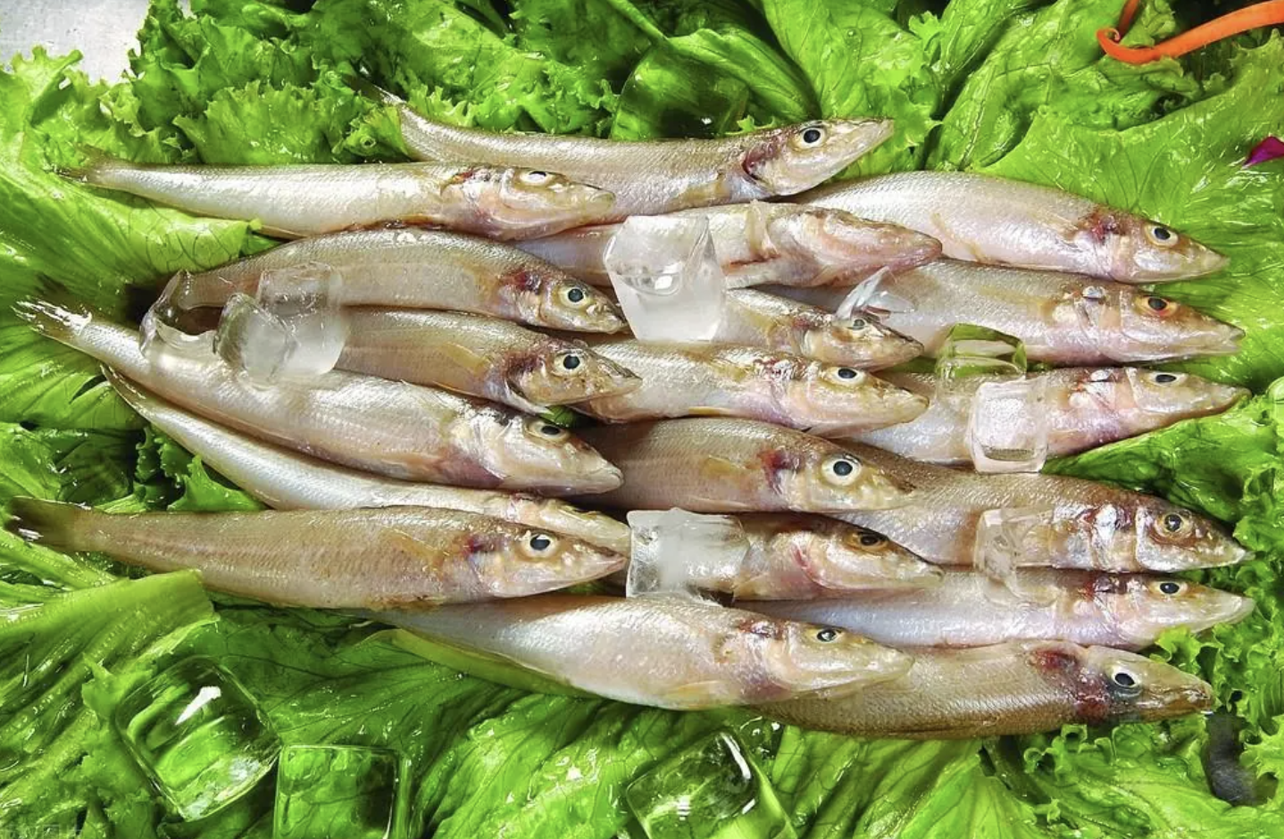 Nghi&ecirc;n cứu ĐH Harvard: 1 LOẠI c&aacute; si&ecirc;u tốt, gi&uacute;p giảm 31% nguy cơ ung thư đại trực tr&agrave;ng, Việt Nam rất sẵn v&agrave; rẻ nhưng &iacute;t nh&agrave; ăn- Ảnh 1.