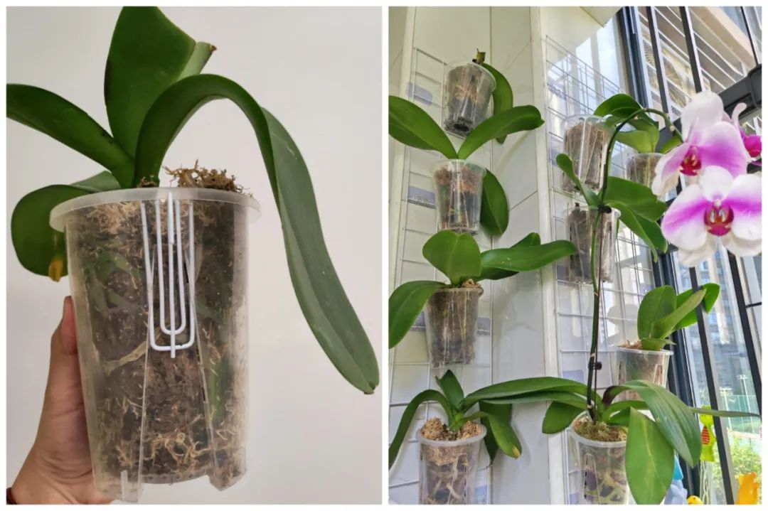 D&ugrave;ng đồ gia dụng &ldquo;ngược lại&rdquo;, t&ocirc;i tiết kiệm được gần một nửa chi ph&iacute; mua sắm trong nh&agrave;- Ảnh 8.