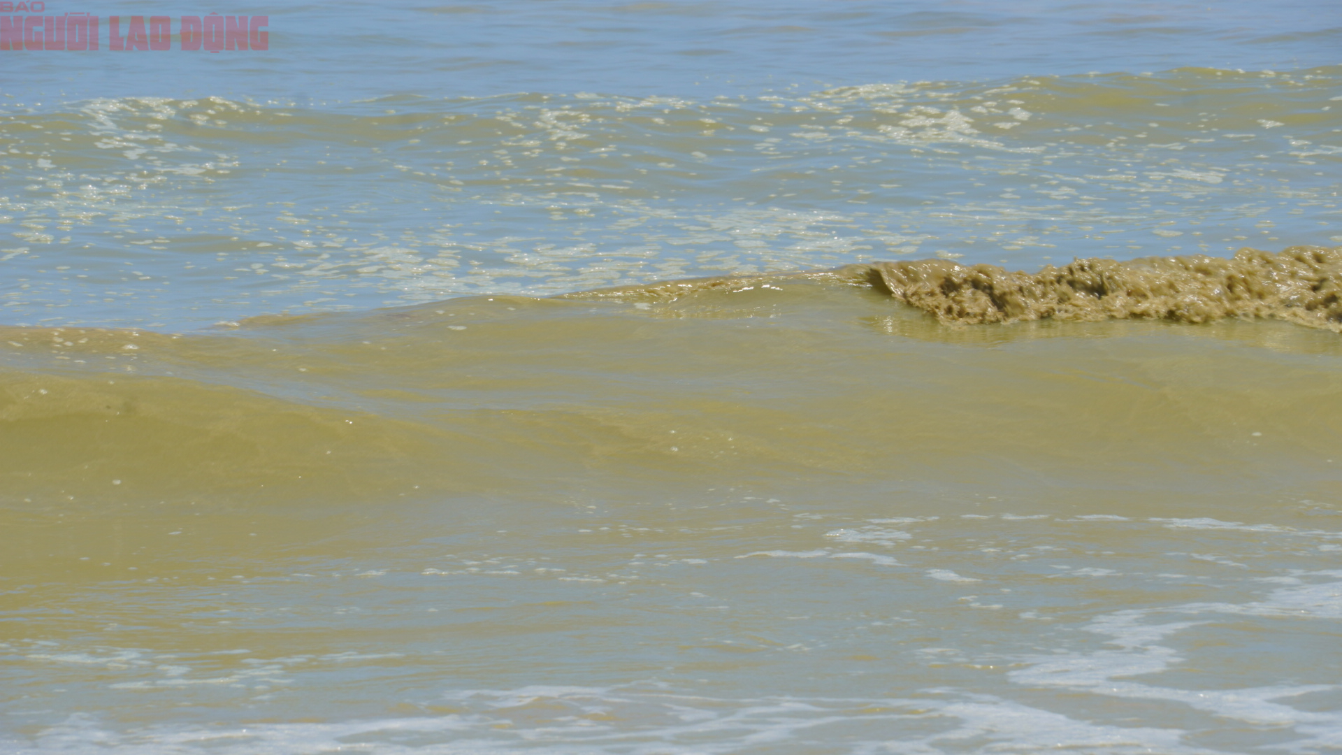 Hình ảnh biển Bãi Sau Vũng Tàu chuyển màu "xanh như matcha", du khách lo ngại- Ảnh 3. Hình ảnh biển Bãi Sau Vũng Tàu chuyển màu "xanh như matcha", du khách lo ngại- Ảnh 3.