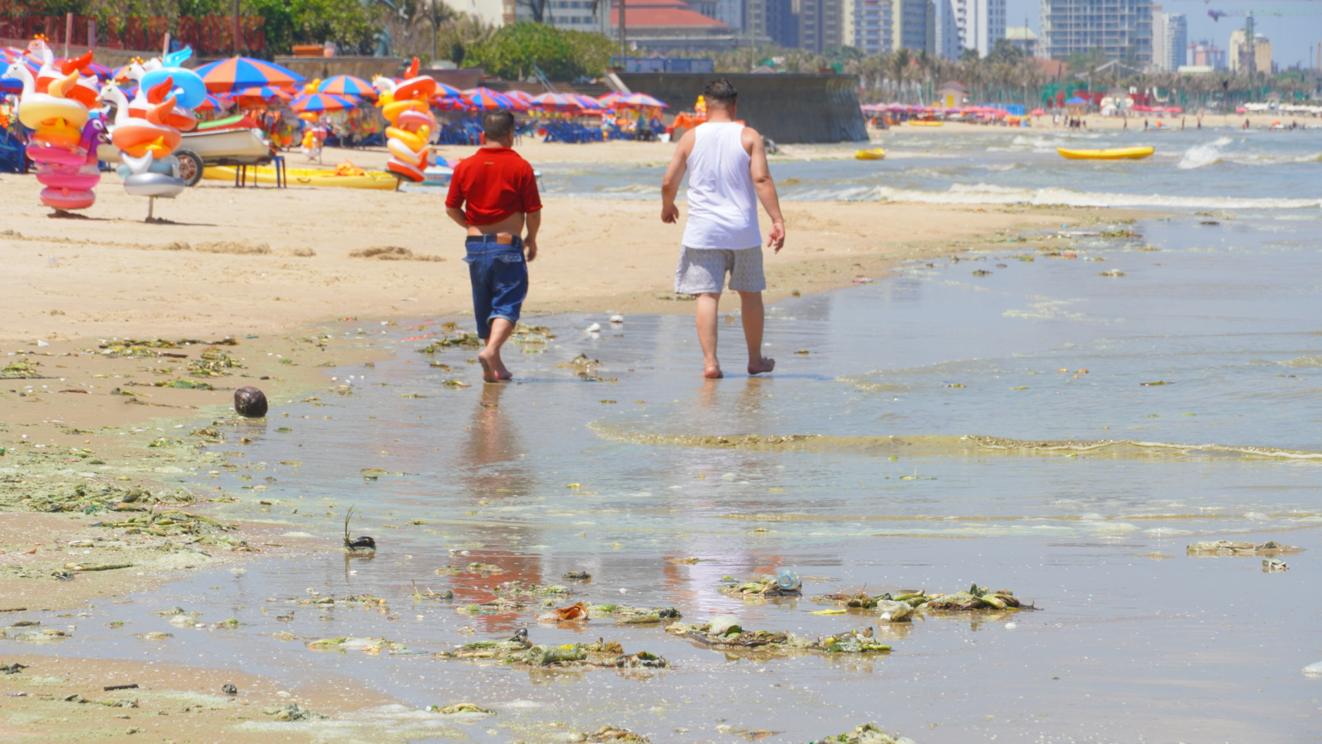 Hình ảnh biển Bãi Sau Vũng Tàu chuyển màu "xanh như matcha", du khách lo ngại- Ảnh 5. Hình ảnh biển Bãi Sau Vũng Tàu chuyển màu "xanh như matcha", du khách lo ngại- Ảnh 5.