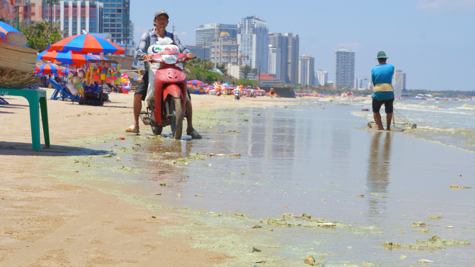 Hình ảnh biển Bãi Sau Vũng Tàu chuyển màu "xanh như matcha", du khách lo ngại- Ảnh 8. Hình ảnh biển Bãi Sau Vũng Tàu chuyển màu "xanh như matcha", du khách lo ngại- Ảnh 8.
