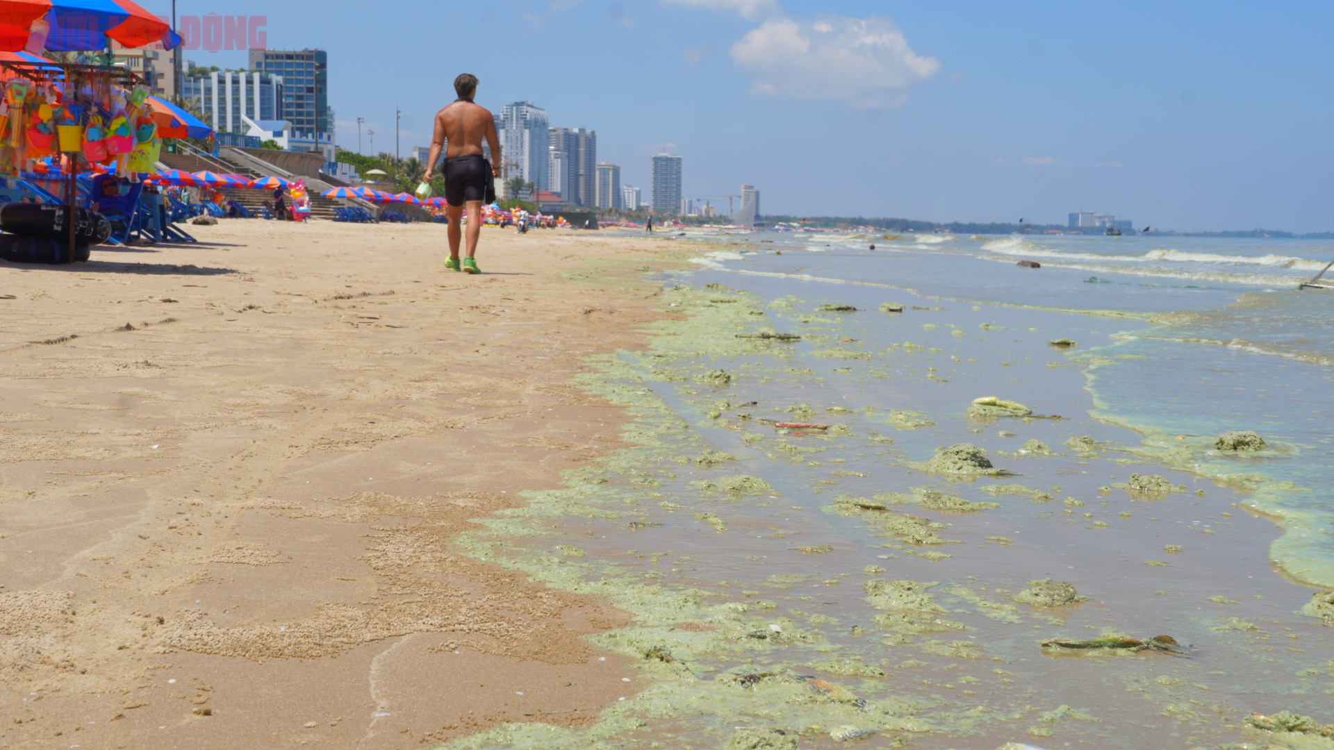 Hình ảnh biển Bãi Sau Vũng Tàu chuyển màu "xanh như matcha", du khách lo ngại- Ảnh 9. Hình ảnh biển Bãi Sau Vũng Tàu chuyển màu "xanh như matcha", du khách lo ngại- Ảnh 9.