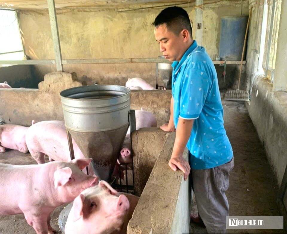 Kỹ sư rời ghế gi&aacute;m đốc ở nước ngo&agrave;i, về qu&ecirc; trồng c&acirc;y gi&agrave;u &ldquo;vitamin C&rdquo;, thu nhập tiền tỷ- Ảnh 13.