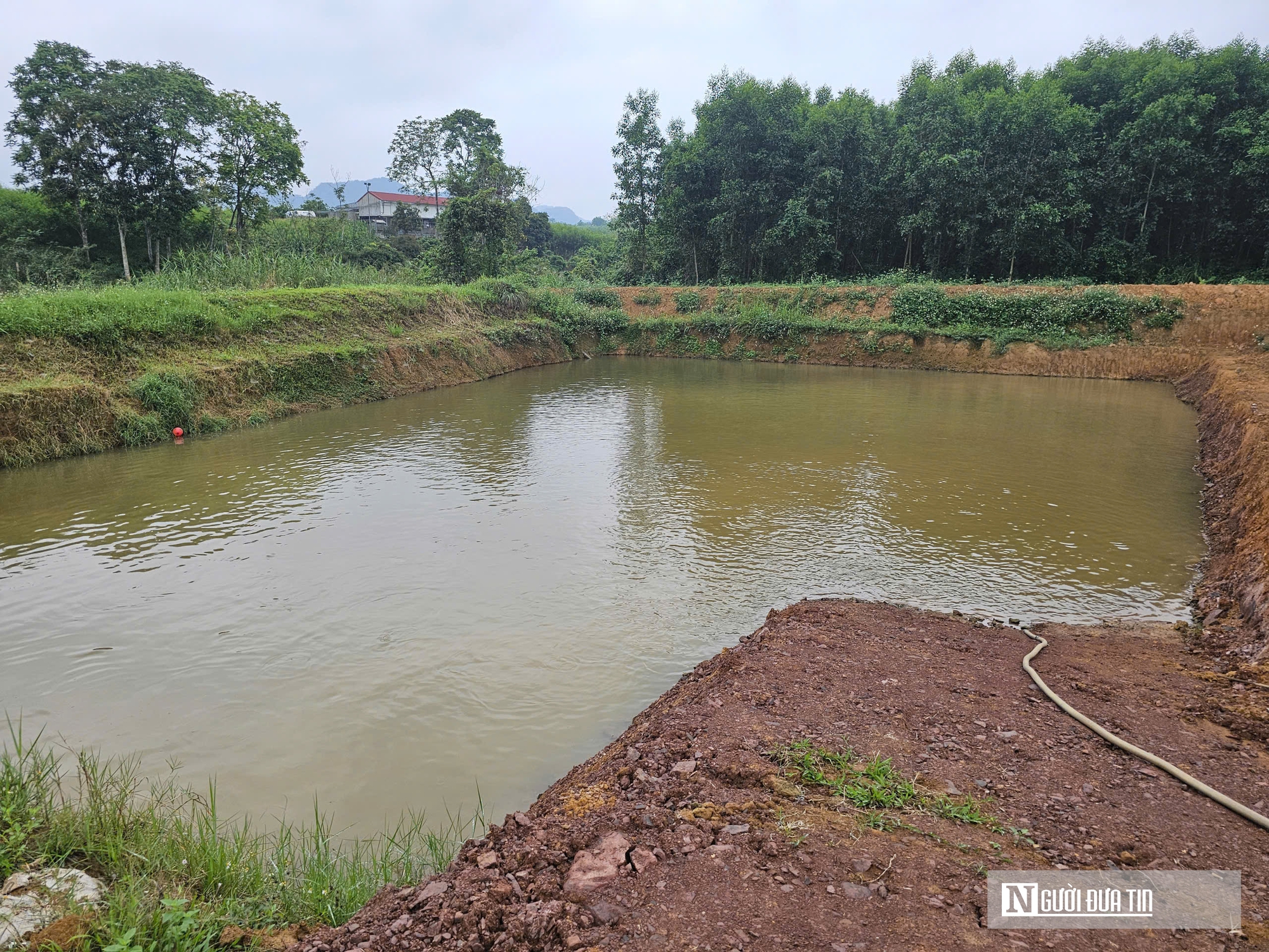 Kỹ sư rời ghế gi&aacute;m đốc ở nước ngo&agrave;i, về qu&ecirc; trồng c&acirc;y gi&agrave;u &ldquo;vitamin C&rdquo;, thu nhập tiền tỷ- Ảnh 14.