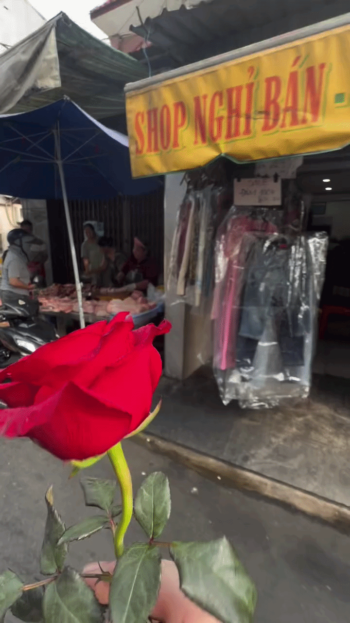 100.000 người thả tim cảnh kh&aacute;ch T&acirc;y gọi người b&aacute;n thịt heo Việt Nam l&agrave; mẹ- Ảnh 1.