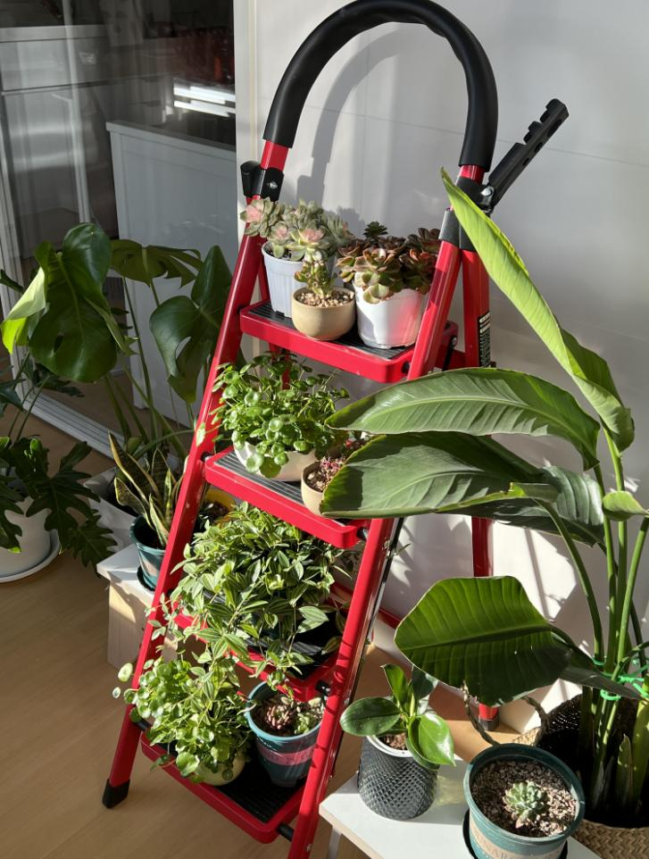 D&ugrave;ng đồ gia dụng &ldquo;ngược lại&rdquo;, t&ocirc;i tiết kiệm được gần một nửa chi ph&iacute; mua sắm trong nh&agrave;- Ảnh 3.