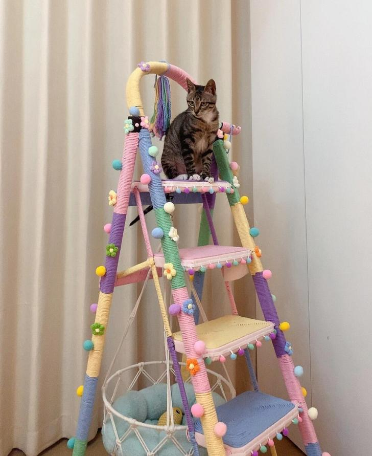 D&ugrave;ng đồ gia dụng &ldquo;ngược lại&rdquo;, t&ocirc;i tiết kiệm được gần một nửa chi ph&iacute; mua sắm trong nh&agrave;- Ảnh 2.