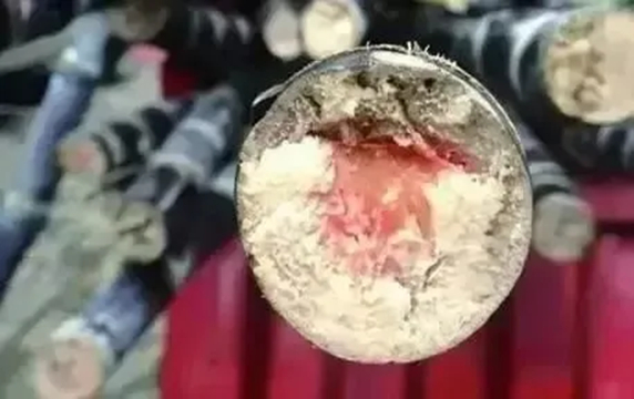 Loại thức ăn n&agrave;y độc hơn cả rắn v&agrave;o dịp Tết Thanh Minh!- Ảnh 2.