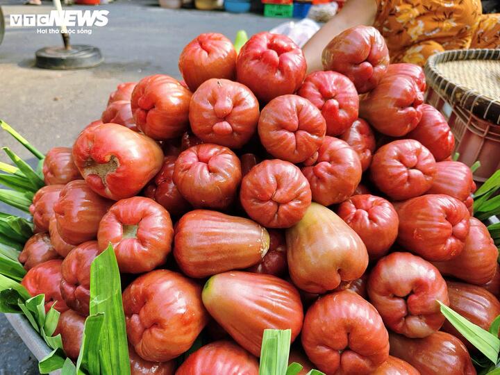 3-4 tr&aacute;i mận hồng gi&aacute; 200.000 đồng, kh&aacute;ch vẫn xuống tiền mua- Ảnh 1.