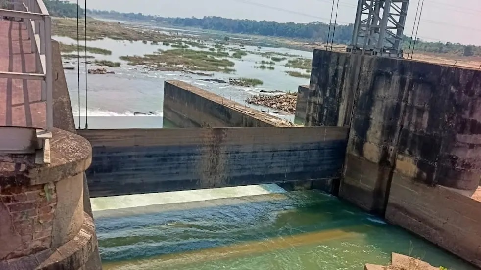 Bắt được con c&aacute; rồi ngậm trong miệng, người đ&agrave;n &ocirc;ng tử vong thương t&acirc;m- Ảnh 1.