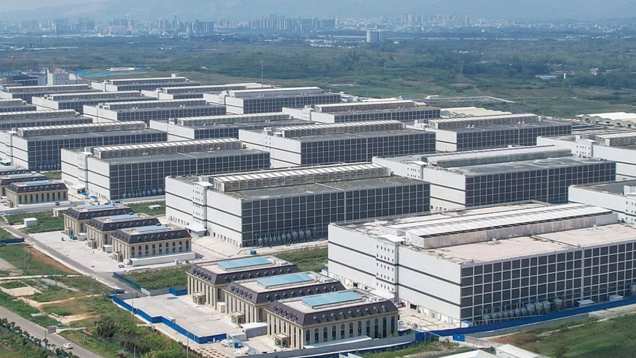 60 tấn thịt lợn &aacute;m ảnh quốc gia gi&agrave;u nhất ch&acirc;u &Aacute;: Nhiều n&ocirc;ng hộ đang lỗ 1 triệu đồng/con, dư thừa h&agrave;ng loạt 'chung cư lợn'- Ảnh 2.