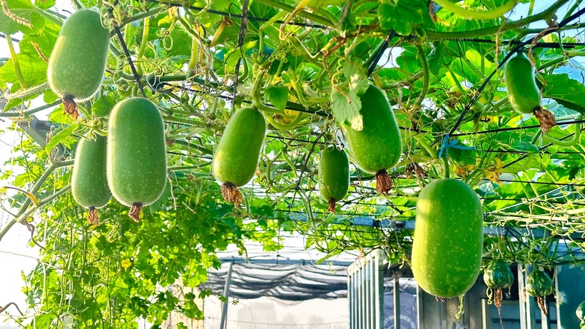 Sự thật về người phụ nữ Đồng Nai nhiều năm "kh&ocirc;ng bước ch&acirc;n ra chợ", b&iacute; mật nằm ở tầng 3- Ảnh 1.