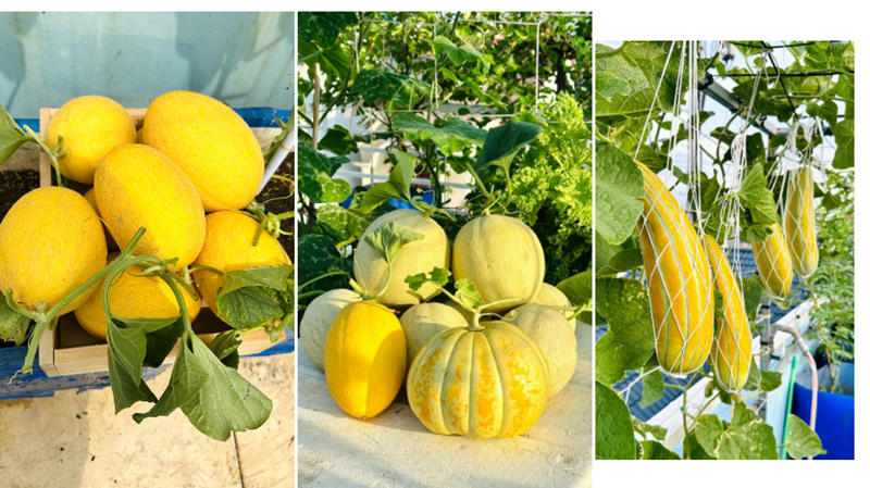 Sự thật về người phụ nữ Đồng Nai nhiều năm "kh&ocirc;ng bước ch&acirc;n ra chợ", b&iacute; mật nằm ở tầng 3- Ảnh 4.