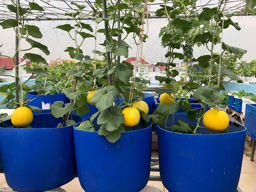 Sự thật về người phụ nữ Đồng Nai nhiều năm "kh&ocirc;ng bước ch&acirc;n ra chợ", b&iacute; mật nằm ở tầng 3- Ảnh 7.