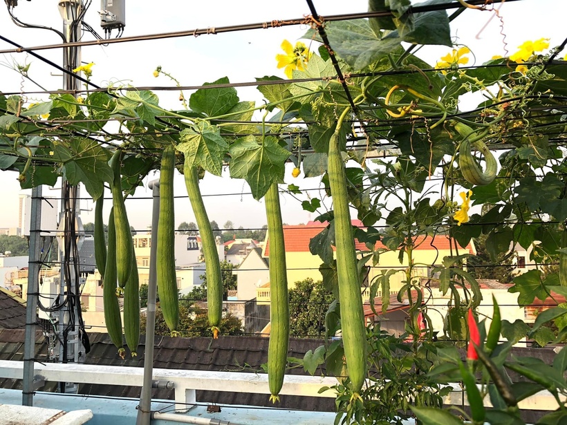 Sự thật về người phụ nữ Đồng Nai nhiều năm "kh&ocirc;ng bước ch&acirc;n ra chợ", b&iacute; mật nằm ở tầng 3- Ảnh 3.