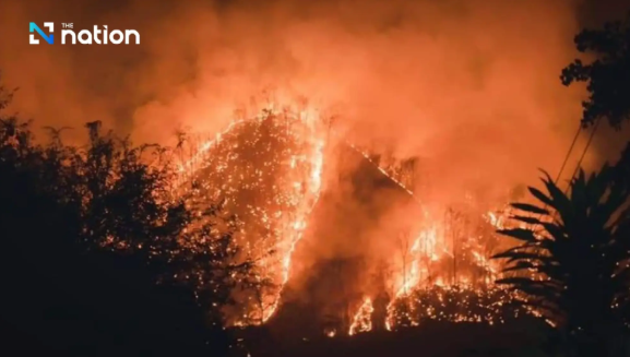Th&aacute;i Lan ban bố t&igrave;nh trạng khẩn cấp do ch&aacute;y rừng- Ảnh 3.
