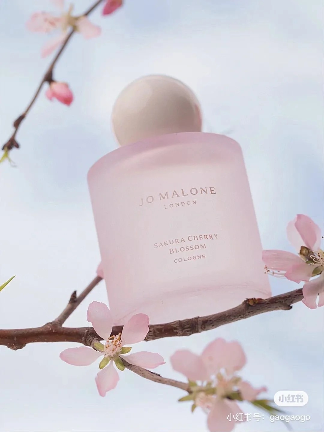 Linh nghiệm hơn cả đi cầu duy&ecirc;n: Top nước hoa "gọi đ&agrave;o hoa" vượng phong thủy gi&uacute;p bạn tho&aacute;t ế ngay năm 2026- Ảnh 5.