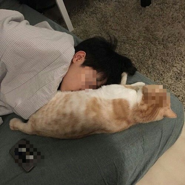 Cậu b&eacute; 14 tuổi "gần như m&ugrave; l&ograve;a" sau 1 năm ngủ chung với ch&oacute; m&egrave;o, b&aacute;c sĩ: "Bệnh n&agrave;y kh&ocirc;ng chữa được"- Ảnh 4.