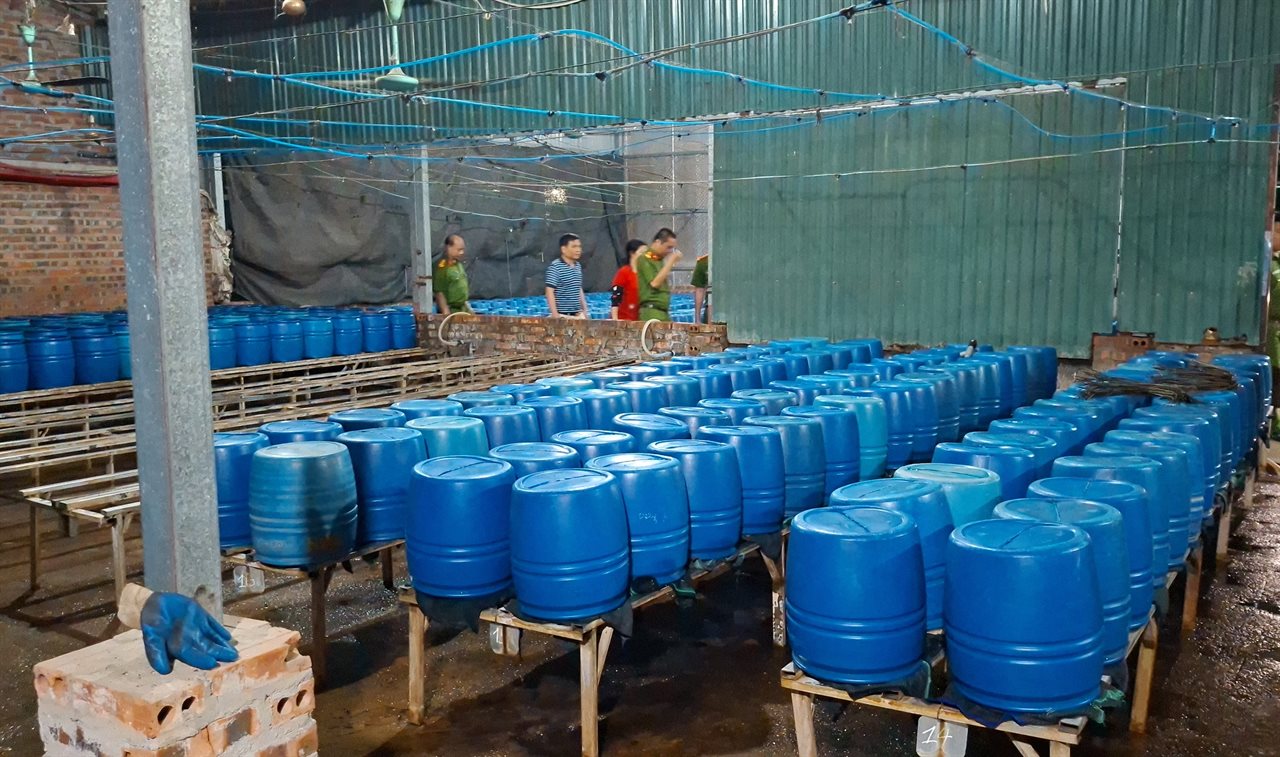 Cận cảnh bên trong cơ sở sản xuất hơn 500 tấn giá đỗ có sử dụng chất độc hại- Ảnh 2. Cận cảnh bên trong cơ sở sản xuất hơn 500 tấn giá đỗ có sử dụng chất độc hại- Ảnh 2.