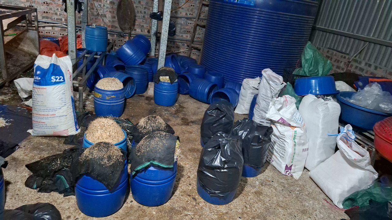 Cận cảnh bên trong cơ sở sản xuất hơn 500 tấn giá đỗ có sử dụng chất độc hại- Ảnh 3. Cận cảnh bên trong cơ sở sản xuất hơn 500 tấn giá đỗ có sử dụng chất độc hại- Ảnh 3.