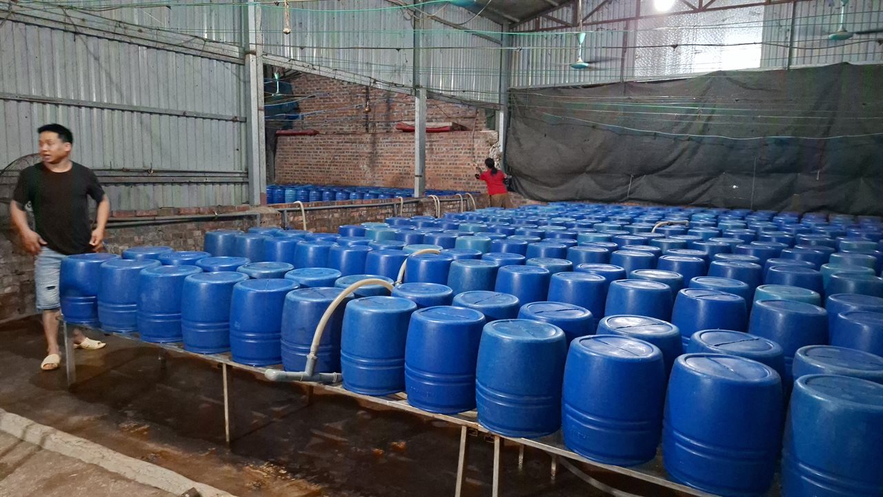 Cận cảnh bên trong cơ sở sản xuất hơn 500 tấn giá đỗ có sử dụng chất độc hại- Ảnh 6. Cận cảnh bên trong cơ sở sản xuất hơn 500 tấn giá đỗ có sử dụng chất độc hại- Ảnh 6.