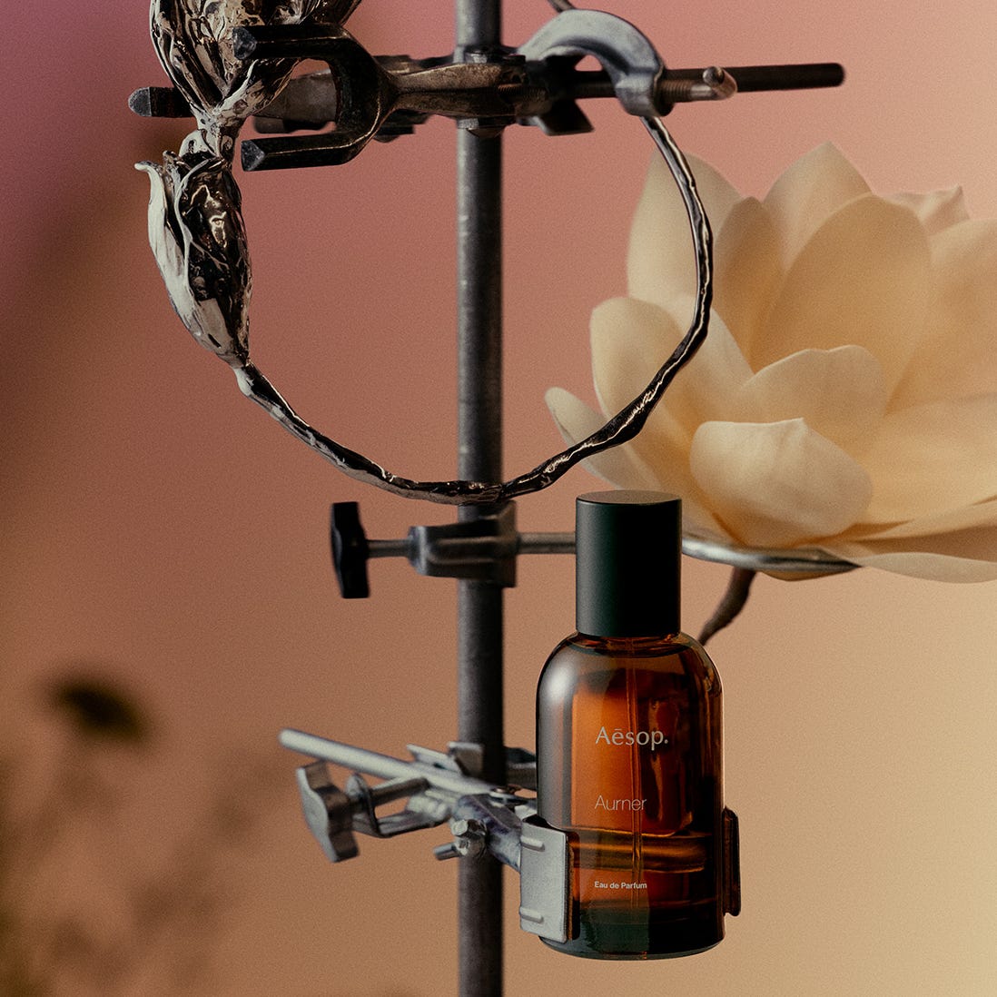 Linh nghiệm hơn cả đi cầu duy&ecirc;n: Top nước hoa "gọi đ&agrave;o hoa" vượng phong thủy gi&uacute;p bạn tho&aacute;t ế ngay năm 2026- Ảnh 13.