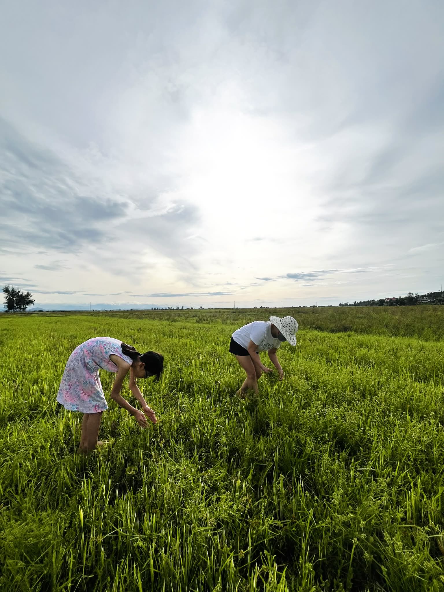 Đi họp lớp c&ugrave;ng mẹ, con g&aacute;i ng&acirc;y thơ hỏi: "Sao nh&agrave; người ta gi&agrave;u thế", b&agrave; mẹ TP.HCM c&oacute; c&acirc;u trả lời xứng đ&aacute;ng điểm 10!- Ảnh 1.