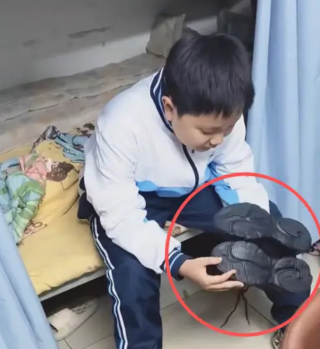 Mẹ l&ecirc;n mạng than v&atilde;n con trai "t&iacute; tuổi đ&atilde; hoang ph&iacute;", ai ngờ nghe chuyện chị kể, d&acirc;n mạng n&oacute;i thẳng: Sợ nhất kiểu phụ huynh n&agrave;y!- Ảnh 1.