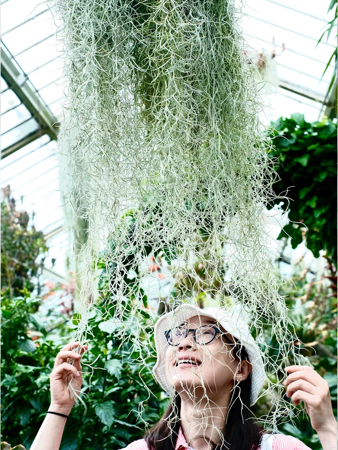 Th&uacute; chơi "c&acirc;y kh&ocirc;ng kh&iacute;" giải nhiệt m&ugrave;a h&egrave;: Kh&ocirc;ng đất, kh&ocirc;ng rễ vẫn sống xanh mướt, l&agrave;m tho&aacute;ng kh&ocirc;ng gian nh&agrave; bạn!- Ảnh 9.