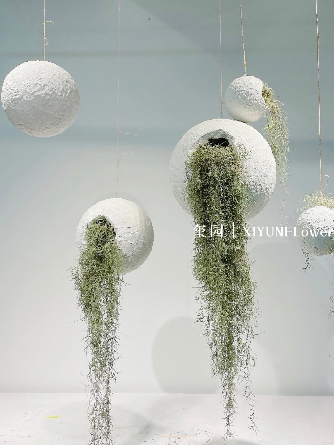 Th&uacute; chơi "c&acirc;y kh&ocirc;ng kh&iacute;" giải nhiệt m&ugrave;a h&egrave;: Kh&ocirc;ng đất, kh&ocirc;ng rễ vẫn sống xanh mướt, l&agrave;m tho&aacute;ng kh&ocirc;ng gian nh&agrave; bạn!- Ảnh 13.