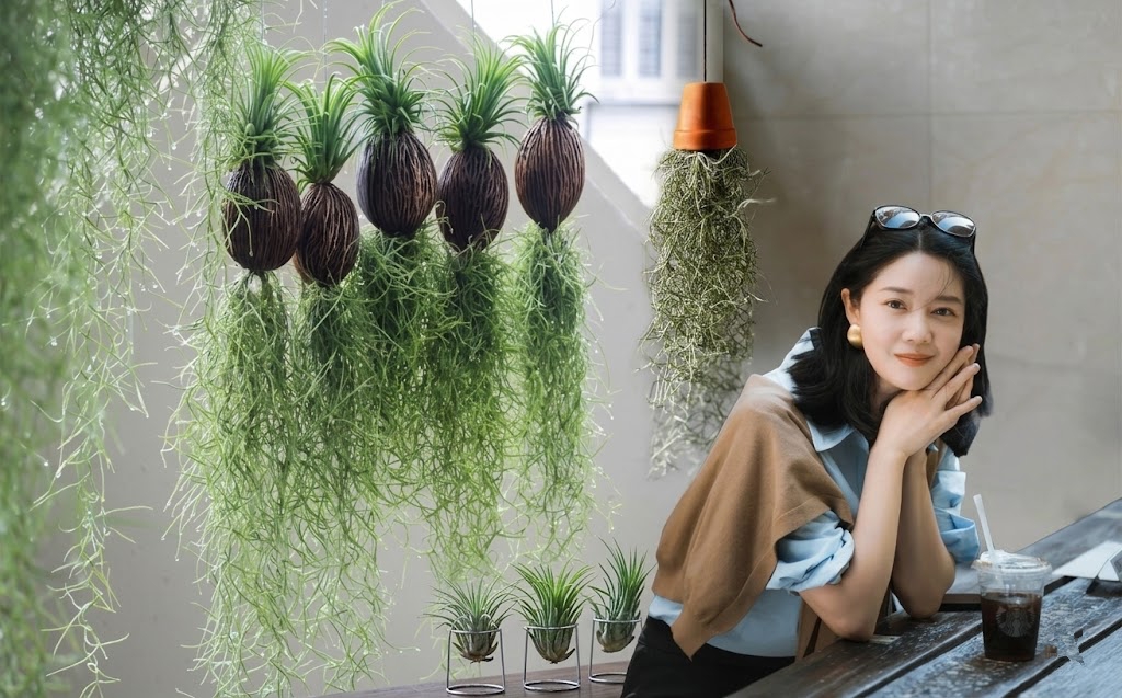 Th&uacute; chơi "c&acirc;y kh&ocirc;ng kh&iacute;" giải nhiệt m&ugrave;a h&egrave;: Kh&ocirc;ng đất, kh&ocirc;ng rễ vẫn sống xanh mướt, l&agrave;m tho&aacute;ng kh&ocirc;ng gian nh&agrave; bạn!- Ảnh 1.