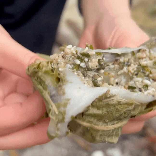 Đ&atilde; t&igrave;m ra "kỳ ph&ugrave;ng địch thủ" của gi&aacute; bể Hải Ph&ograve;ng: Phản ứng dở kh&oacute;c dở cười của hội thực kh&aacute;ch đu trend b&aacute;nh trứng kiến- Ảnh 2.