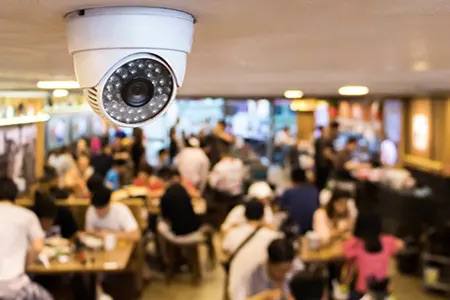 Kh&aacute;ch phản &aacute;nh sự cố hy hữu &ldquo;bị nh&acirc;n vi&ecirc;n cho chuột hamster v&agrave;o nồi lẩu&rdquo;, nh&agrave; h&agrave;ng ở Aeon Mall Hải Ph&ograve;ng n&oacute;i g&igrave;?- Ảnh 3.