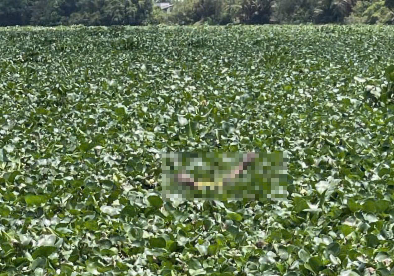 Bàng hoàng phát hiện thi thể 2 trẻ nhỏ trên sông Vàm Cỏ Tây- Ảnh 1. Bàng hoàng phát hiện thi thể 2 trẻ nhỏ trên sông Vàm Cỏ Tây- Ảnh 1.