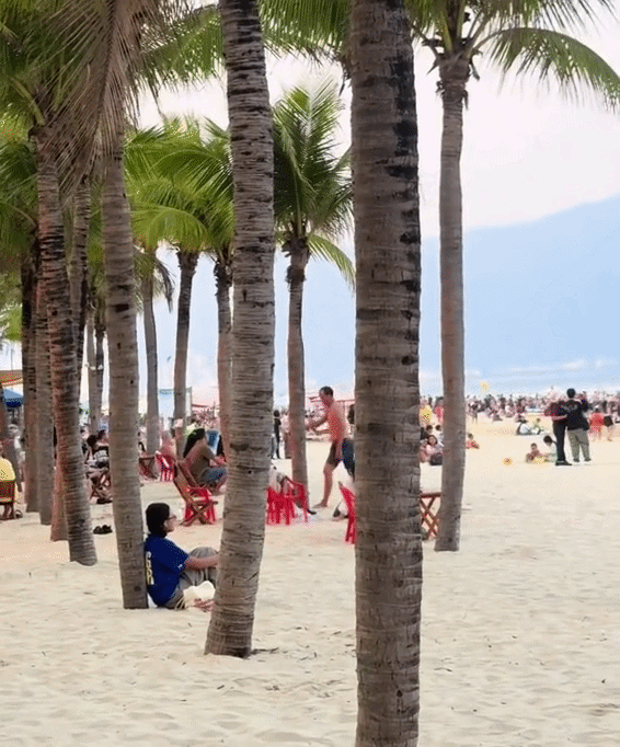 Cảnh tượng hiếm xảy ra ngay đầu tháng 4 ở Đà Nẵng - Ảnh 2.