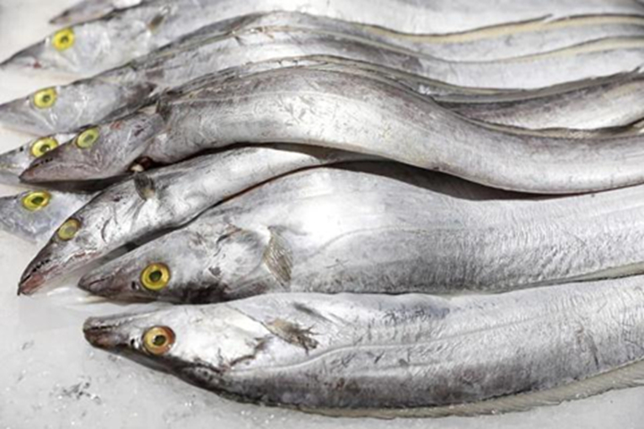 Loại c&aacute; gi&aacute; rẻ, &iacute;t cholesterol, gi&agrave;u đạm, dễ ăn cho cả người gi&agrave; lẫn trẻ nhỏ, đi chợ dễ t&igrave;m m&agrave; người Việt lại &iacute;t ăn- Ảnh 3.