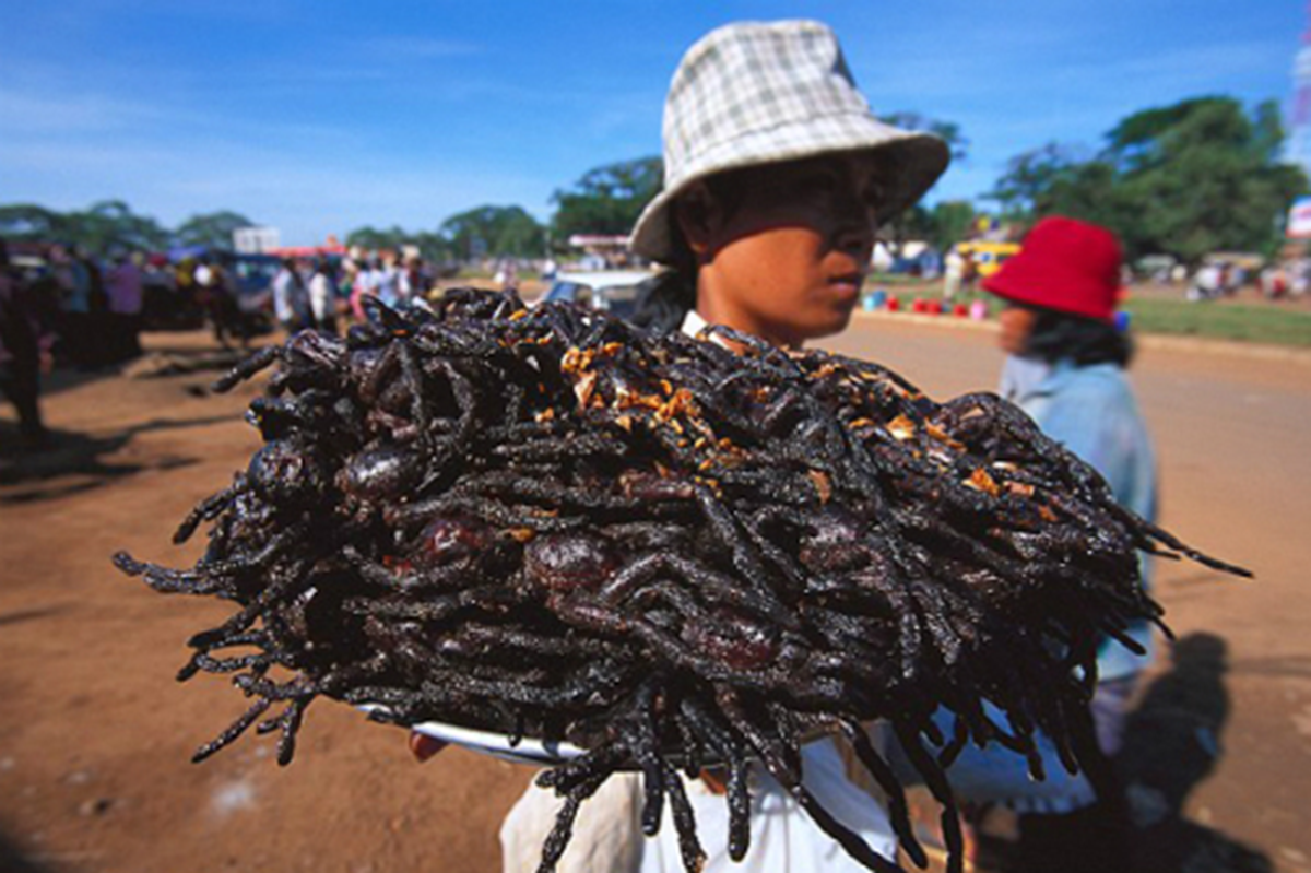 M&oacute;n ăn kinh dị nhất thế giới: "Nhắm mắt" thưởng thức đặc sản nghe t&ecirc;n đ&atilde; r&ugrave;ng m&igrave;nh - Ảnh 3.