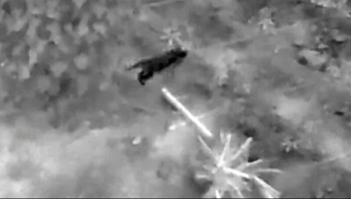 Sinh vật b&iacute; ẩn ph&aacute; n&aacute;t vườn chuối suốt 2 tuần: 60 người truy t&igrave;m khi camera nhiệt ghi lại b&oacute;ng d&aacute;ng lạ - Ảnh 4.