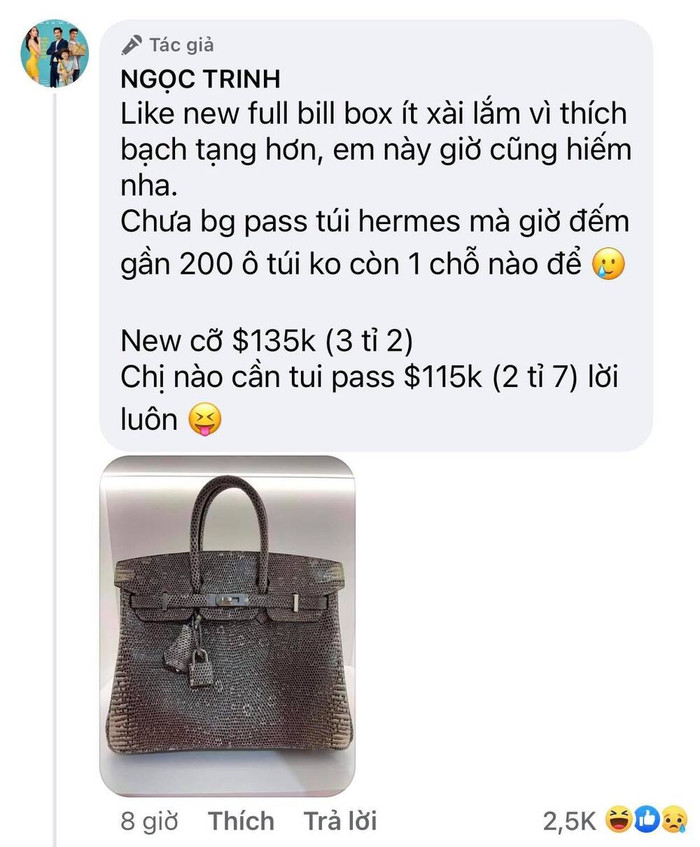 Showbiz từng chứng kiến "đại tiệc pass đồ" xa xỉ của Ngọc Trinh: Từ kim cương đến t&uacute;i hiệu, tổng gi&aacute; trị gần 30 tỷ!- Ảnh 3.