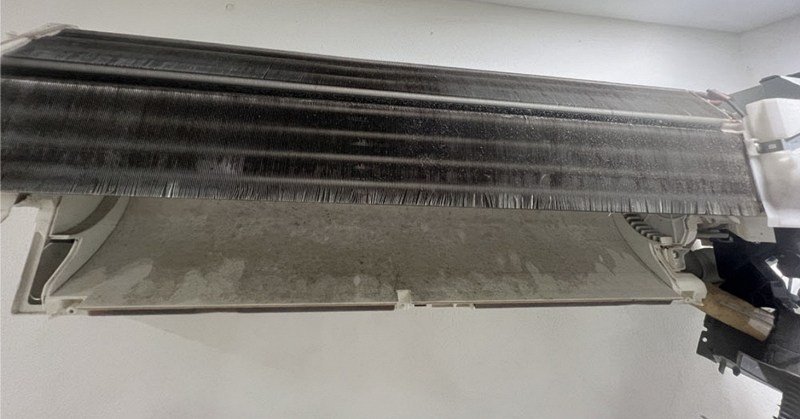 Cảnh b&aacute;o gấp d&agrave;nh cho những gia đ&igrave;nh đang d&ugrave;ng thớt gỗ - Ảnh 3.