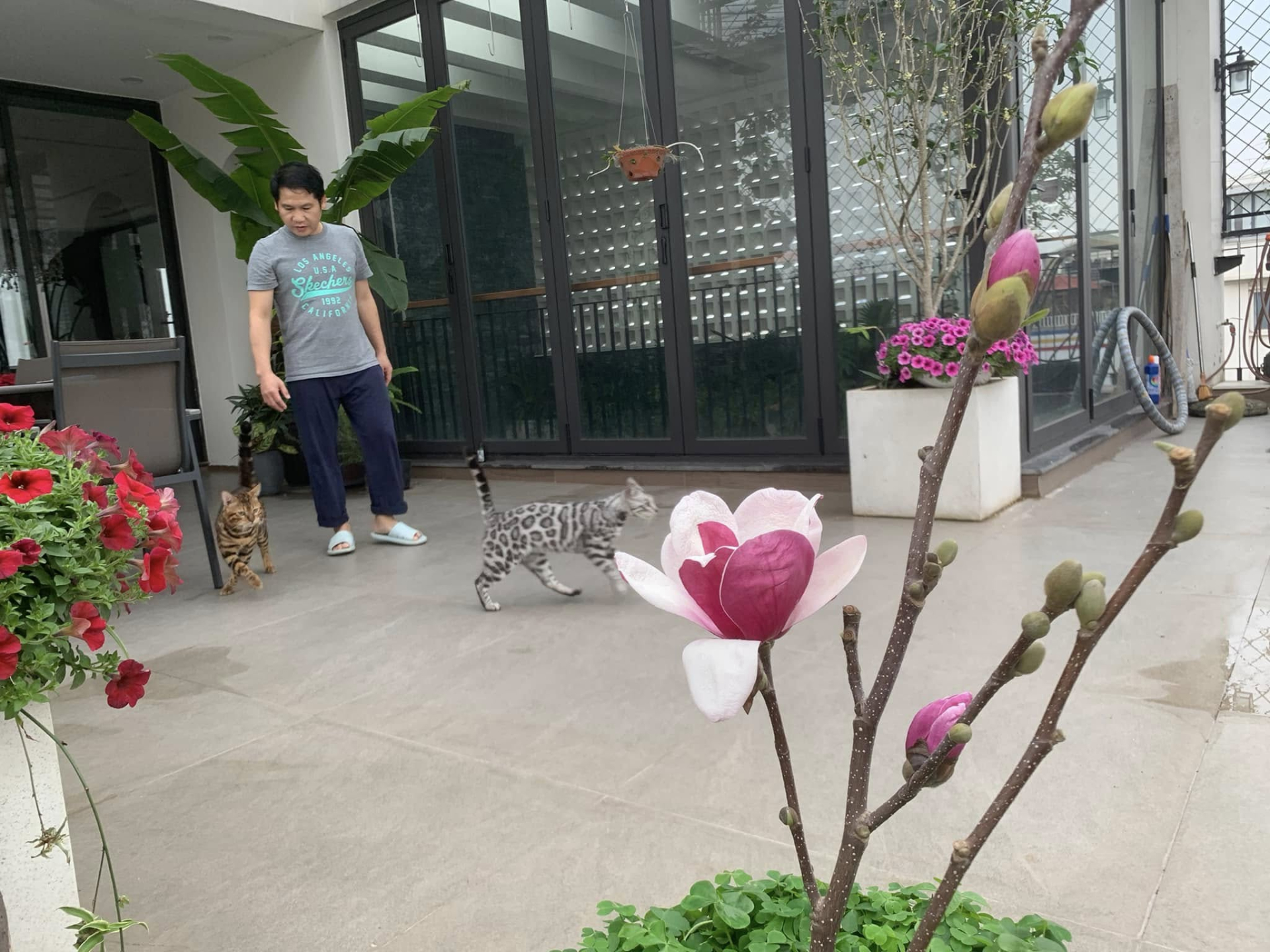 "&Ocirc;ng ho&agrave;ng nhạc đỏ" cưới vợ vừa đẹp vừa giỏi, vui th&uacute; điền vi&ecirc;n trong biệt thự 4000m2 ở H&agrave; Nội- Ảnh 7.