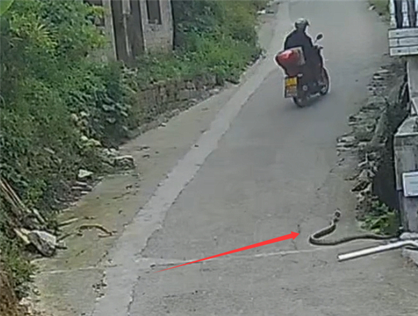 Chi tiết bất thường ở nh&agrave; h&agrave;ng x&oacute;m khiến người đ&agrave;n &ocirc;ng vội gọi cảnh s&aacute;t: Sự thật khiến ai cũng r&ugrave;ng m&igrave;nh - Ảnh 2.