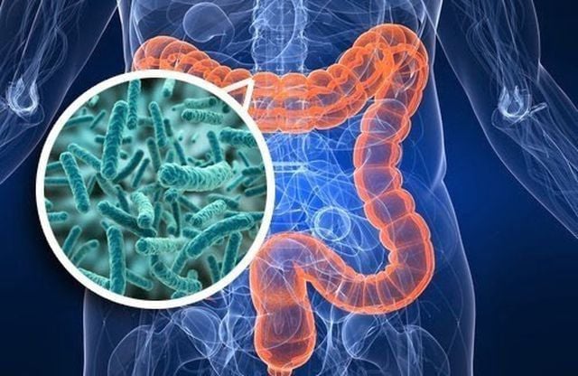 Những th&oacute;i quen đang &ldquo;nu&ocirc;i dưỡng&rdquo; ung thư đại trực tr&agrave;ng: Đừng xem nhẹ 4 t&iacute;n hiệu cảnh b&aacute;o từ cơ thể! - Ảnh 1.