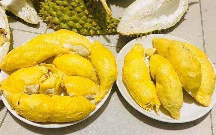 7 l&yacute; do tại sao n&ecirc;n trồng gi&agrave;n thi&ecirc;n l&yacute; trong s&acirc;n nh&agrave; - Ảnh 3.