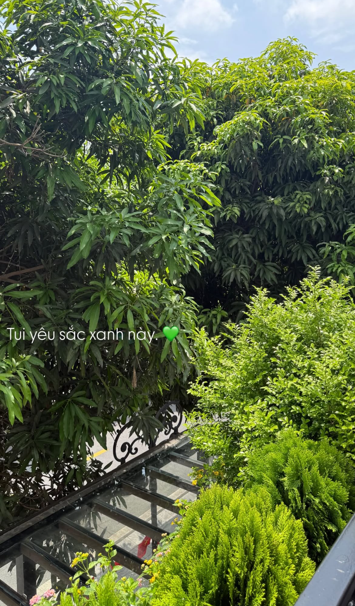 T&igrave;nh trạng khu vườn ở biệt thự mấy chục tỷ tiết lộ sự thật về Do&atilde;n Hải My - Ảnh 21.