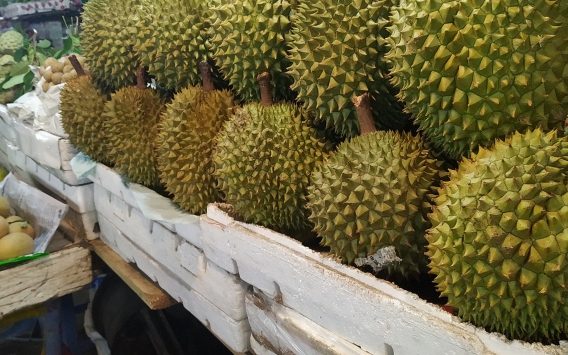 Lời khuy&ecirc;n khi mua c&aacute; hồi- Ảnh 1.
